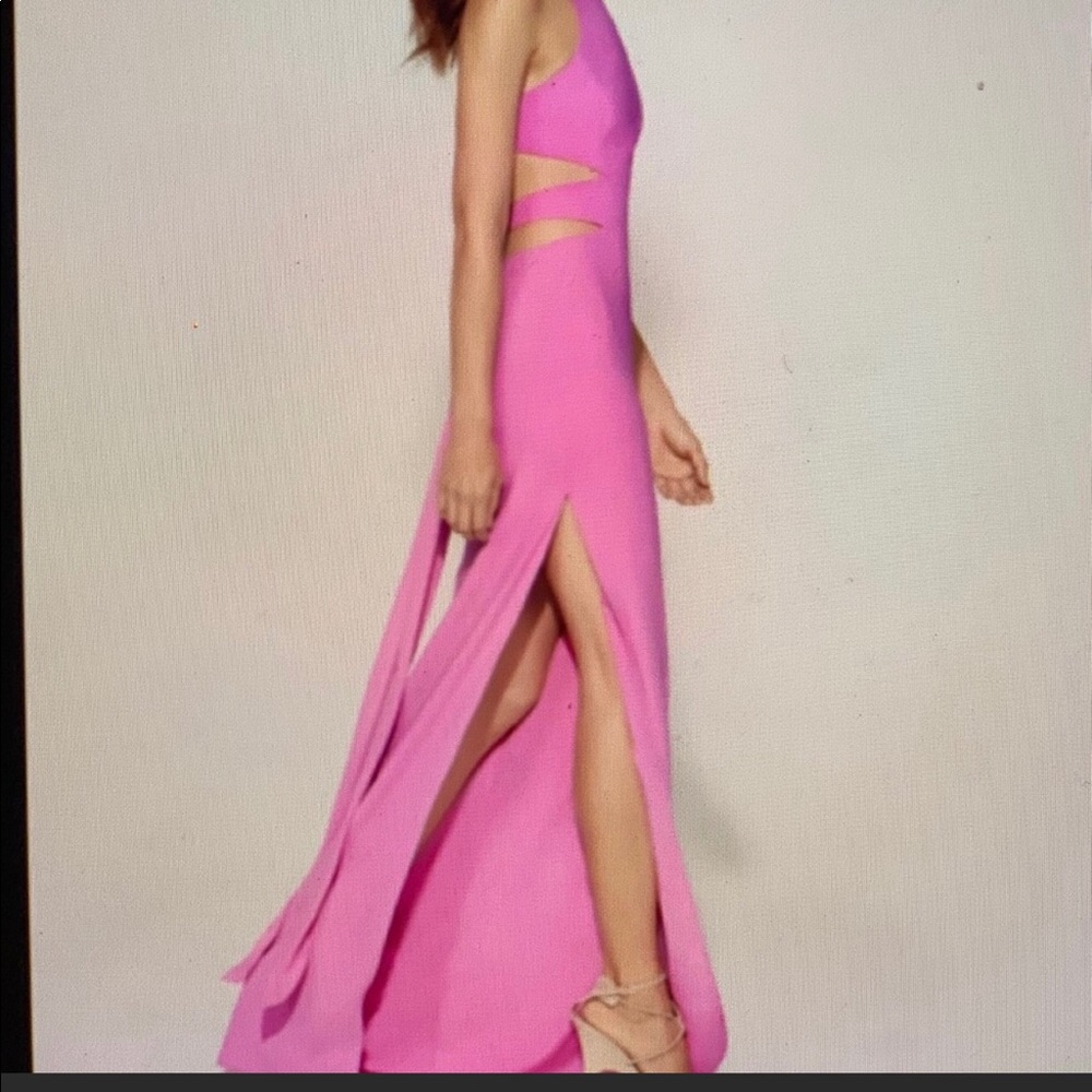 NWT Halston Heritage Gown